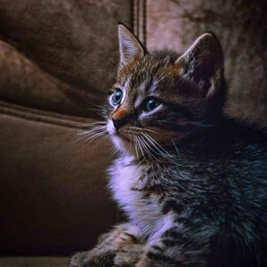 Meet your Posher, Christi